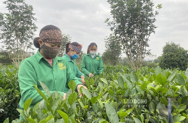 Hỗ trợ hộ nghèo tại TP Thái Nguyên. Ảnh: Phùng Minh