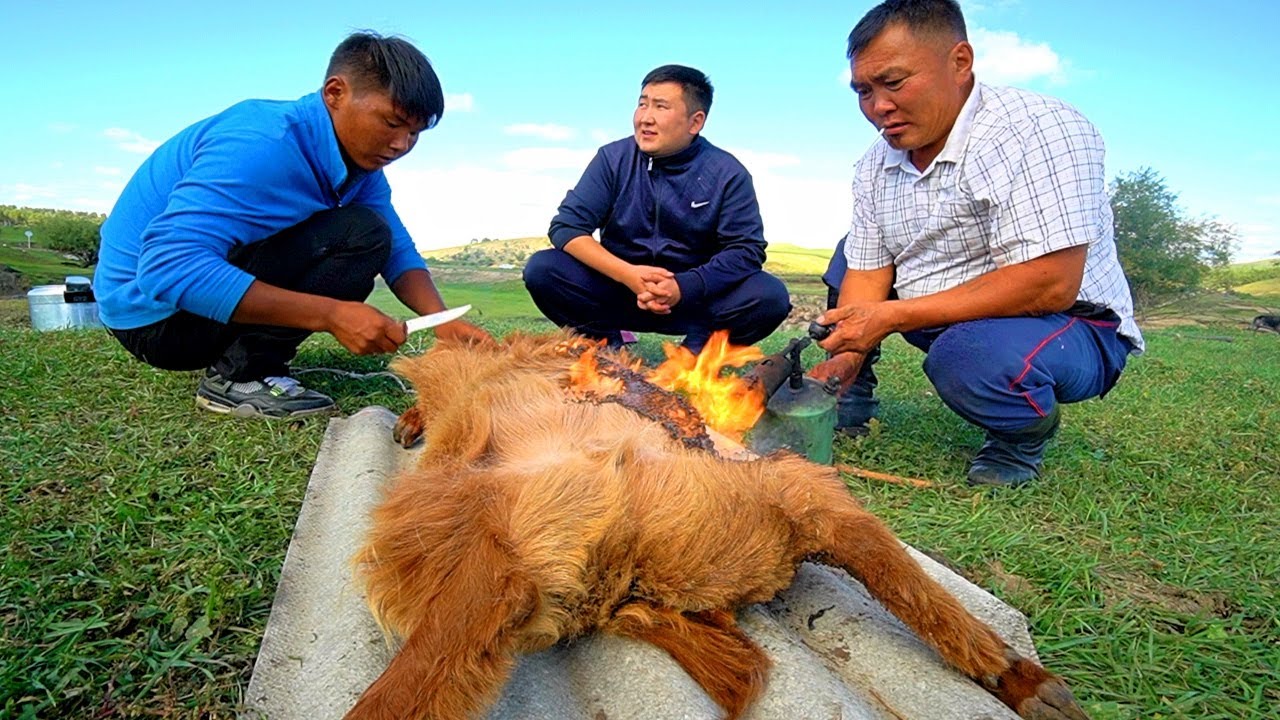 Bữa ăn không bao giờ thiếu thịt của người Mông Cổ