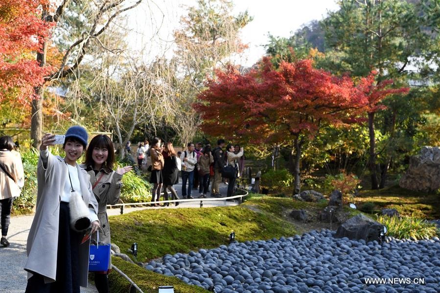 Du khách chụp ảnh với lá mùa thu ở quận Arashiyama, Kyoto, Nhật Bản. Ảnh: Xinhua