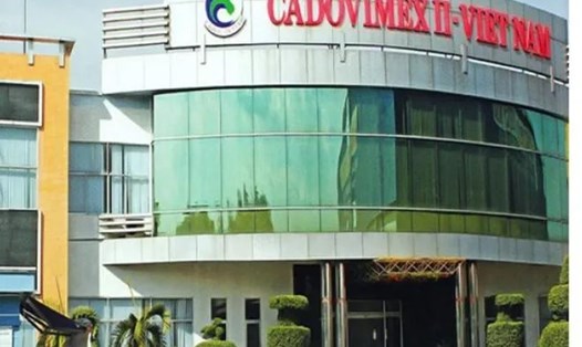 5 nguyên lãnh đạo của Công ty Cadovimex bị khởi tố. Ảnh: Nhật Hồ