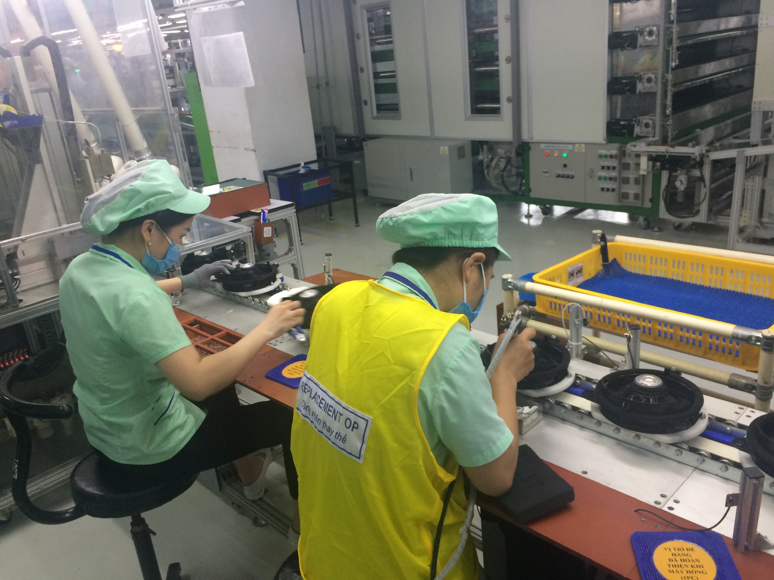 Ảnh minh họa: Bảo Hân. 