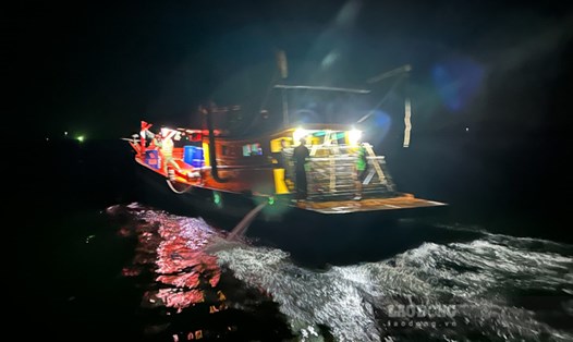 Phương tiện tàng trữ ngư cụ cấm sử dụng khai thác thủy sản trên vùng biển huyện Kiên Lương. Ảnh: Biên phòng cung cấp