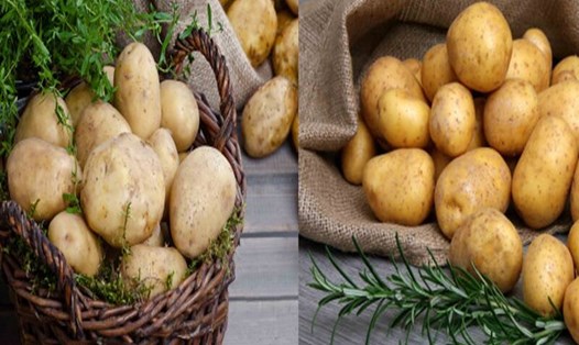 Ăn khoai tây có tác dụng giảm cân. Đồ hoạ: Hạ Mây
