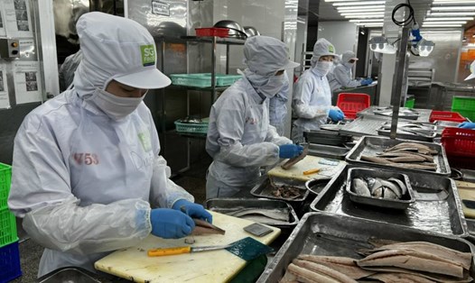 Công ty Cổ phần Sài Gòn Food vẫn đảm bảo việc làm và chú trọng các hoạt động chăm lo cho người lao động. Ảnh: Ngọc Lê