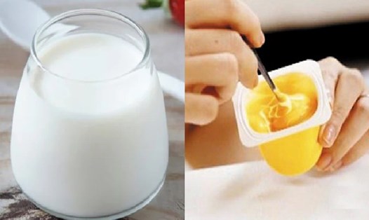 Các sản phẩm từ sữa ít béo giúp giảm axit uric. Ảnh: Minh Quang
