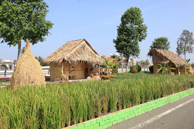 Một góc tiểu cảnh tại con đường lúa gạo Việt Nam. Ảnh: Trung Phạm