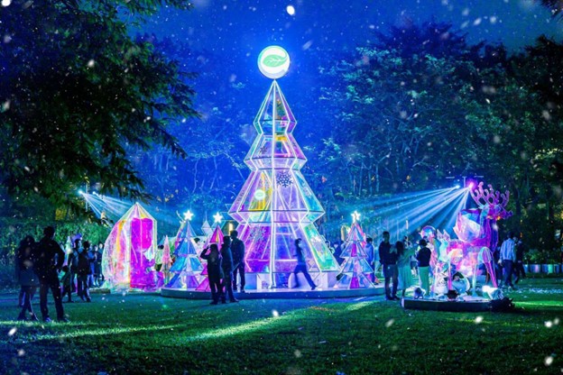 Cây thông khổng lồ trong khu rừng pha lê chiếu sáng cả một vùng đất. Ảnh: Nguyễn Phương