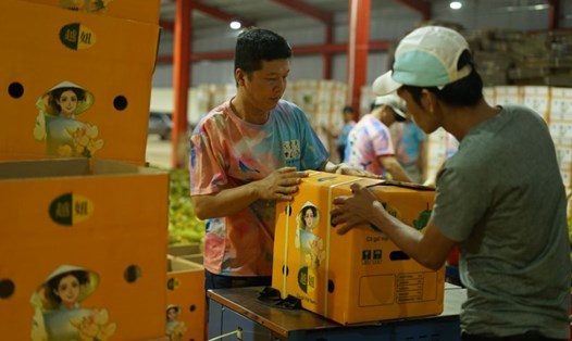 Đóng gói sầu riêng để xuất khẩu sang Trung Quốc ở Đắk Lắk, Việt Nam, ngày 15.9.2023. Ảnh: Xinhua