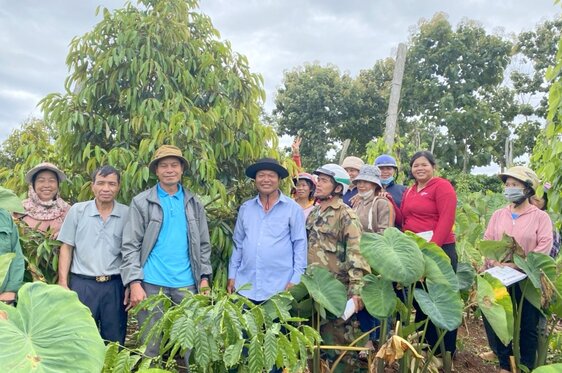 Hiện nay, toàn huyện Đắk Mil đang phát triển khoảng 1.700ha sầu riêng. Ảnh: Bảo Lâm