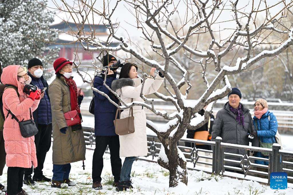 Người dân hào hứng đón tuyết đầu mùa ở Bắc Kinh, ngày 11.12.2023. Ảnh: Xinhua