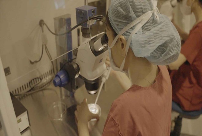 Độ tuổi tốt nhất để trữ trứng ở phụ nữ