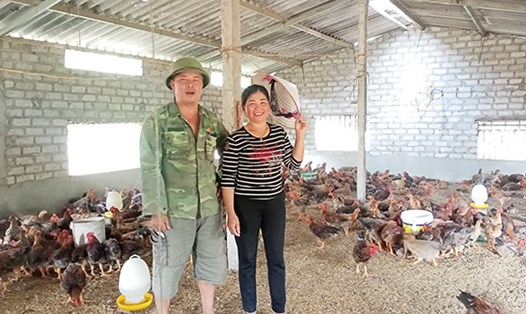 Vợ chồng chị Từ Thị Liên tại trang trại gà của gia đình. Ảnh: Vũ Minh Hoạ