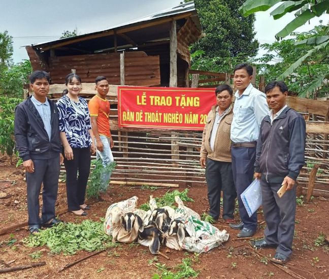 Hỗ trợ dê giống cho hộ nghèo. Ảnh: Cổng thông tin điện tử tỉnh Gia Lai