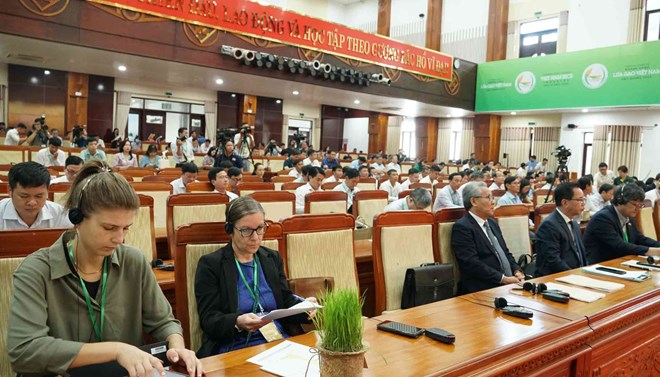 Làm rõ những rào cản, điểm nghẽn trong ngành hàng lúa gạo Việt Nam