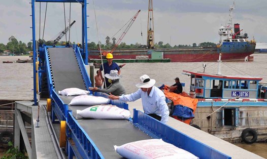 Xuất khẩu gạo của Việt Nam đạt kỷ lục về sản lượng và giá trị xuất khẩu. Ảnh: Phương Anh