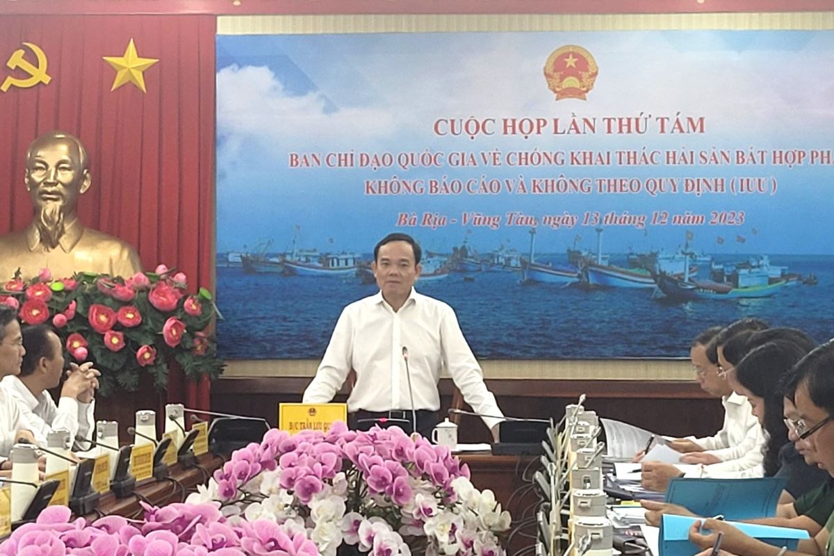 Phó Thủ tướng Chính phủ Trần Lưu Quang phát biểu chỉ đạo tại cuộc họp. Ảnh: Hoàng Nhị