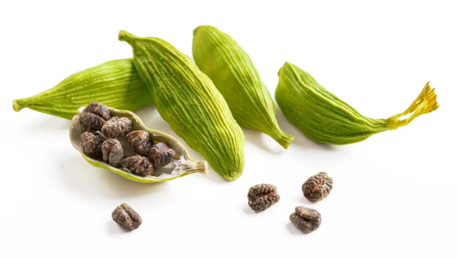 Bạch đậu khấu mang lại nhiều lợi ích tốt cho sức khoẻ. Ảnh: Pixabay