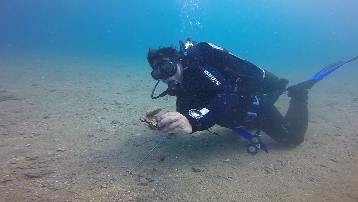 Lặn khảo sát mật độ sò dưới đáy biển. Ảnh: Duy Tuấn