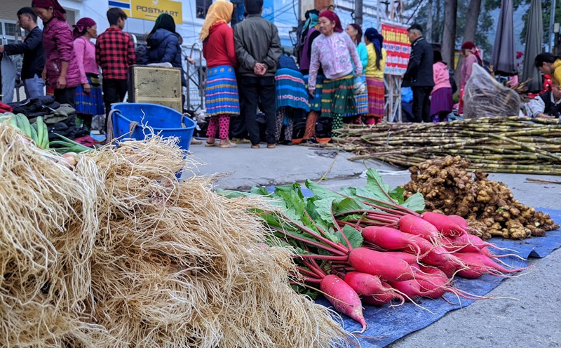 Chợ phiên Mèo Vạc luôn tấp nập khung cảnh người qua kẻ lại với những bộ trang phục rực rỡ sắc màu, hệt như một đóa hoa ngũ sắc nở rộ nơi cao nguyên đá Đồng Văn.