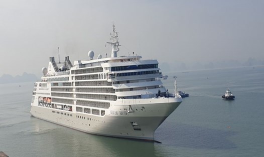 Tàu biển Silver Muse vào vịnh Hạ Long tháng 11.2023. Ảnh: Nguyễn Hùng