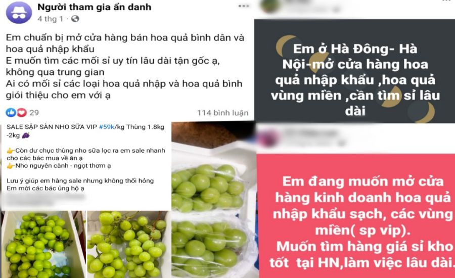 Nhiều người dân có ý định mở cửa hàng kinh doanh hoa quả nhập khẩu tại Hà Nội đã đăng bài ẩn danh, tìm kiếm nguồn hàng giá rẻ trên mạng xã hội. Ảnh: Chụp màn hình
