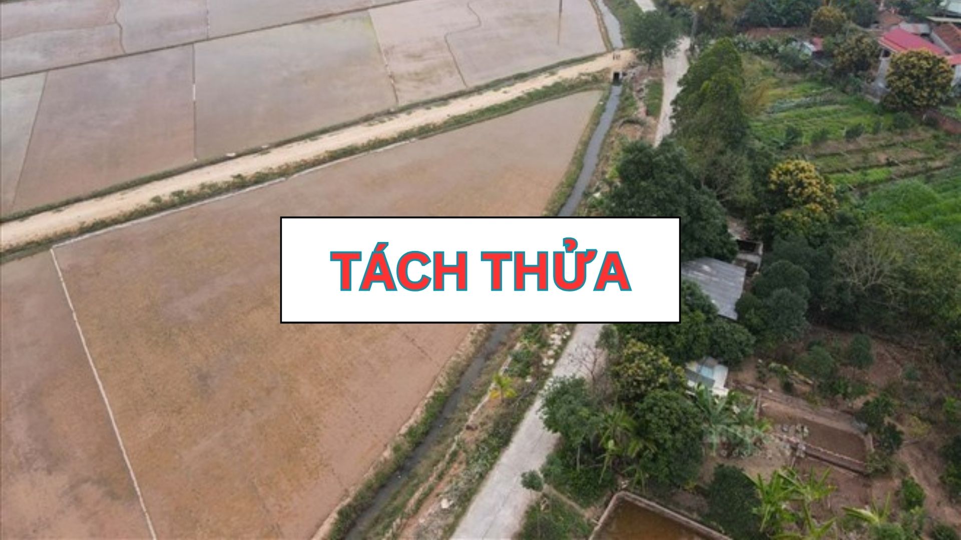 Đồ hoạ: Tuyết Lan 