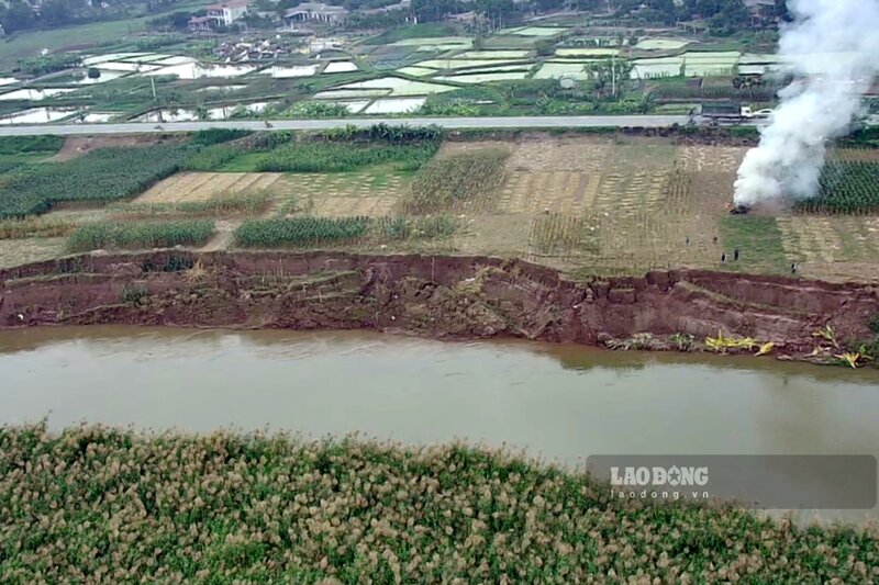 Nhận được thông tin phản ánh của người dân xã Tuy Lộc về việc tuyến đê hữu sông Hồng đoạn qua địa bàn bị sạt lở nghiêm trọng, những ngày giữa tháng 12, phóng viên Báo Lao Động đã trực tiếp đến đây để tìm hiểu.