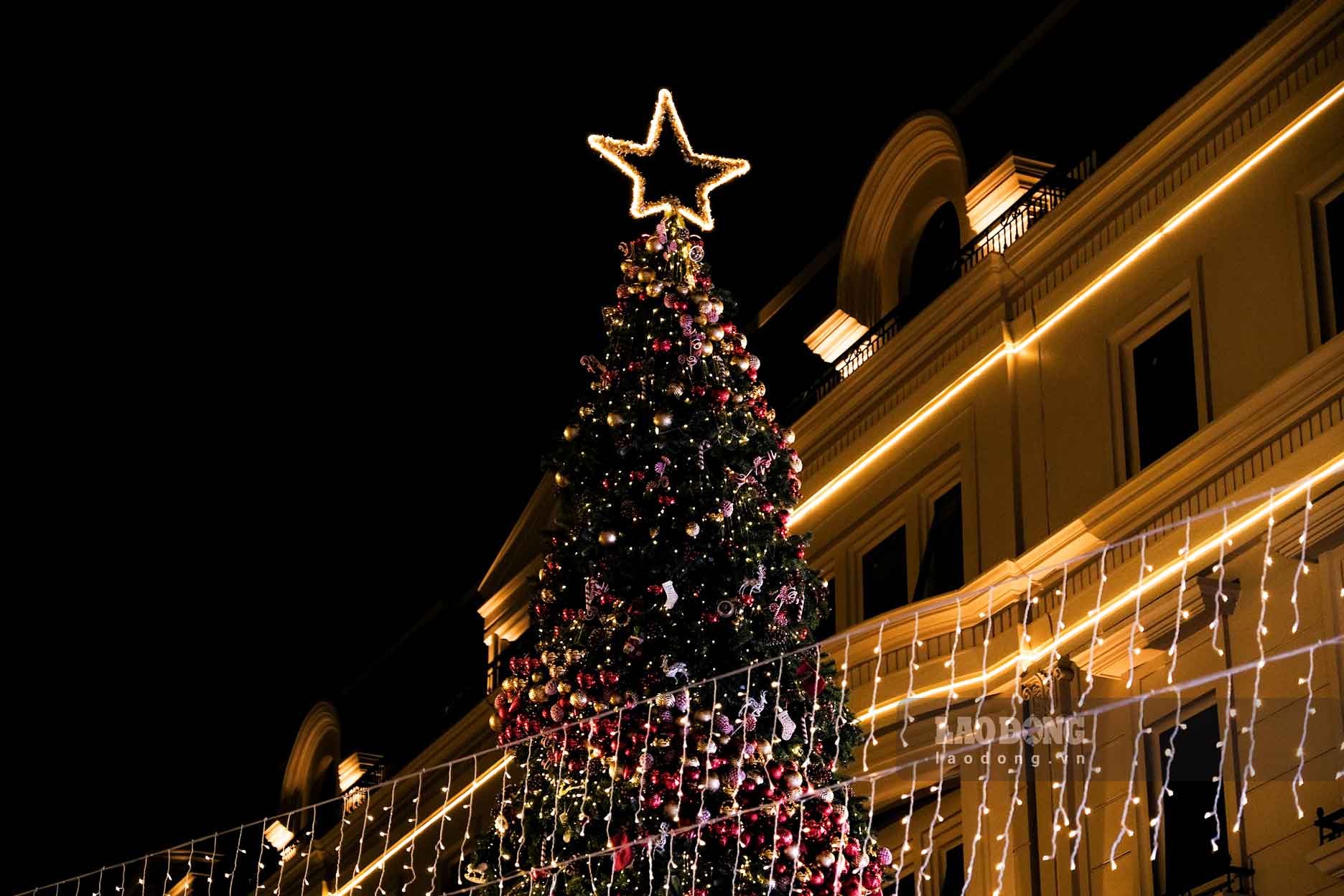 Cây thông Noel được trang trí nổi bật ngay giữa trung tâm phố đi bộ.