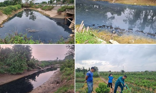Nước kênh ô nhiễm, người dân làm vườn khổ sở kiếm nguồn nước tưới cây. Ảnh: Lương Hà