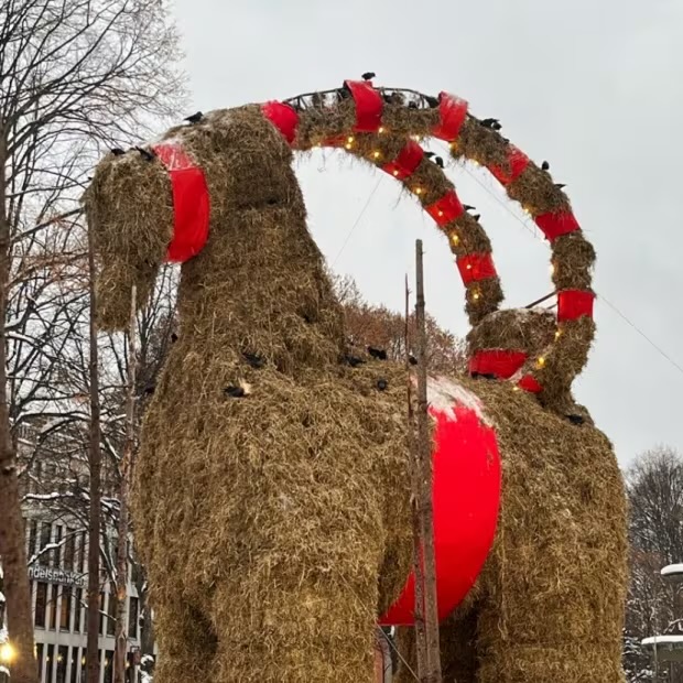 Con dê Yule năm 2023 bị những đàn chim rút rơm. Ảnh: Gavlebocken/X