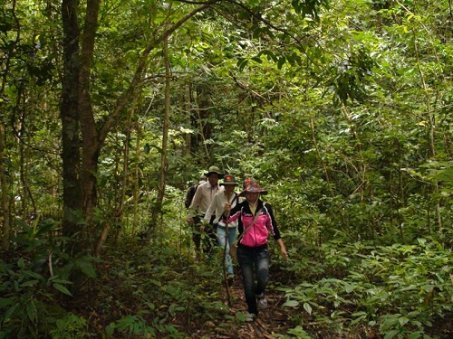 Khách du lịch luồn rừng khám phá thiên nhiên trong khu bảo tồn. Ảnh: Tổng cục Du lịch