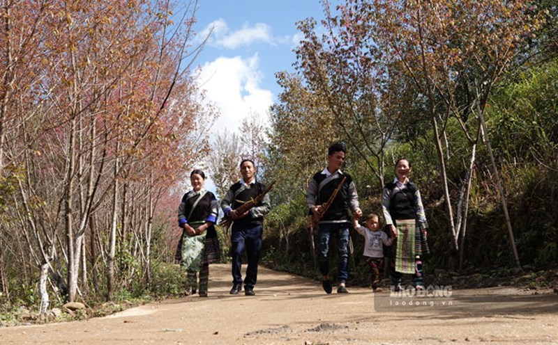 Cây Khèn gắn liền với đời sống của đồng bào người H’Mông. Ảnh: Trung tâm TT&VH Mù Cang Chải