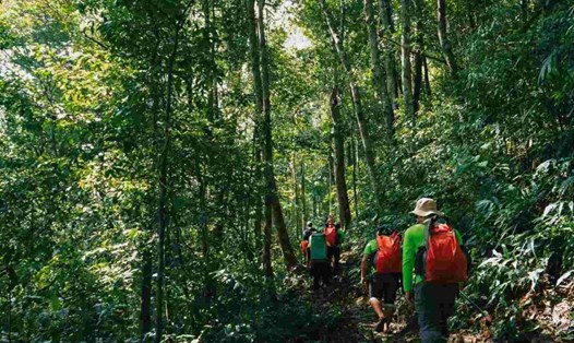 Quảng Bình là một trong các địa phương khai thác du lịch trải nghiệm dưới tán rừng tốt nhất hiện nay. Ảnh: Châu Mỹ