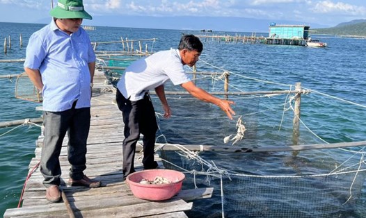 Người dân nuôi cá lồng bè kết hợp làm du lịch ở TP Phú Quốc. Ảnh: Nguyên Anh