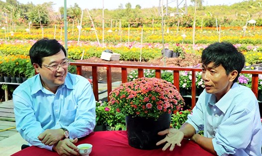 Nông dân Đặng Quang Giàu chia sẻ với Bí thư Tỉnh ủy Đồng Tháp về giống cúc mâm xôi Hàn Quốc. Ảnh: Việt Tiến/CTTĐT