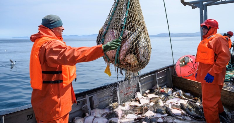 Mỹ mở rộng trừng phạt hải sản của Nga