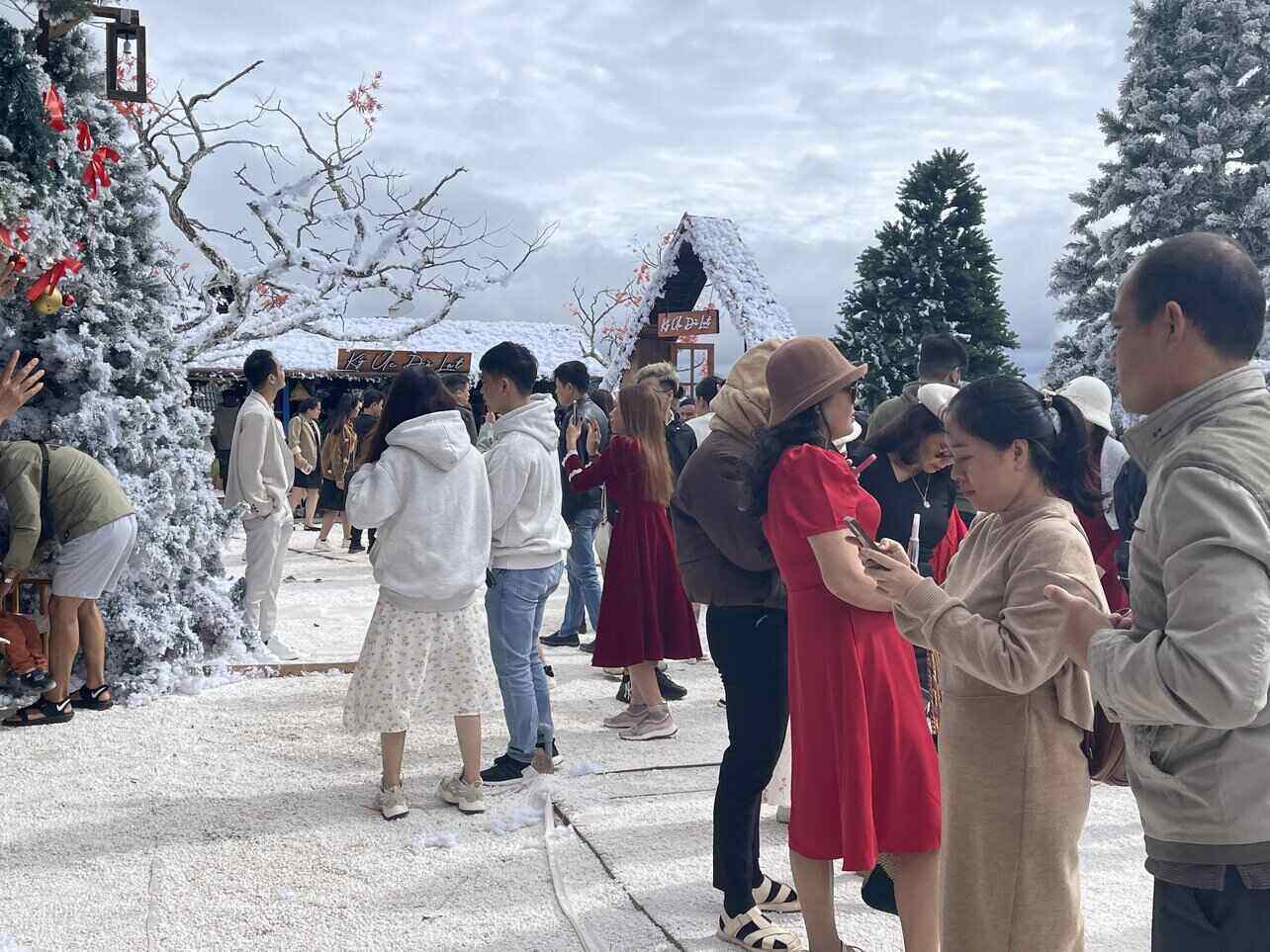 Mỗi ngày có hàng trăm lượt khách đến khu vườn Giáng sinh để chụp ảnh. Ảnh: Mai Hương