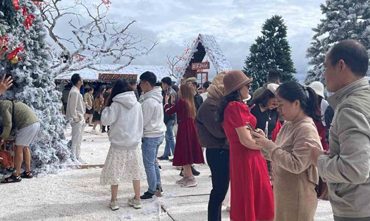 Mỗi ngày có hàng trăm lượt khách đến khu vườn Giáng sinh để chụp ảnh. Ảnh: Mai Hương