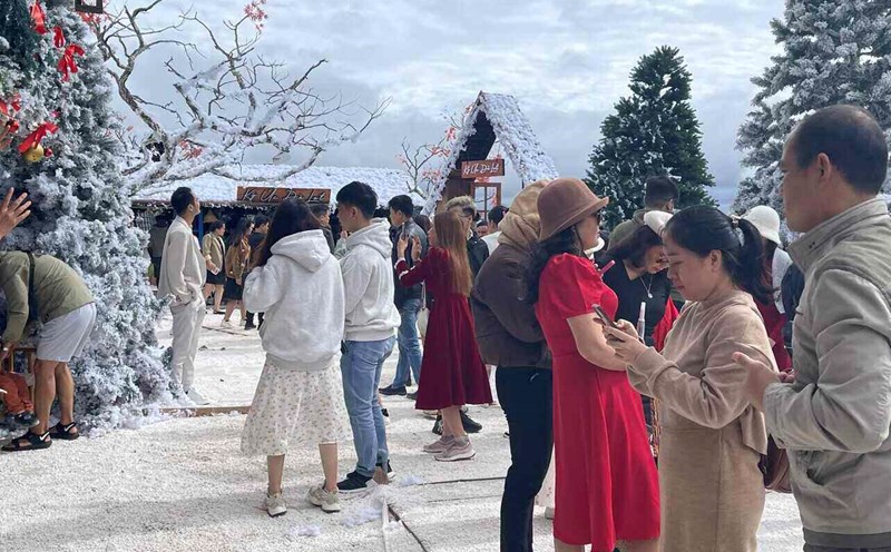 Mỗi ngày có hàng trăm lượt khách đến khu vườn Giáng sinh để chụp ảnh. Ảnh: Mai Hương