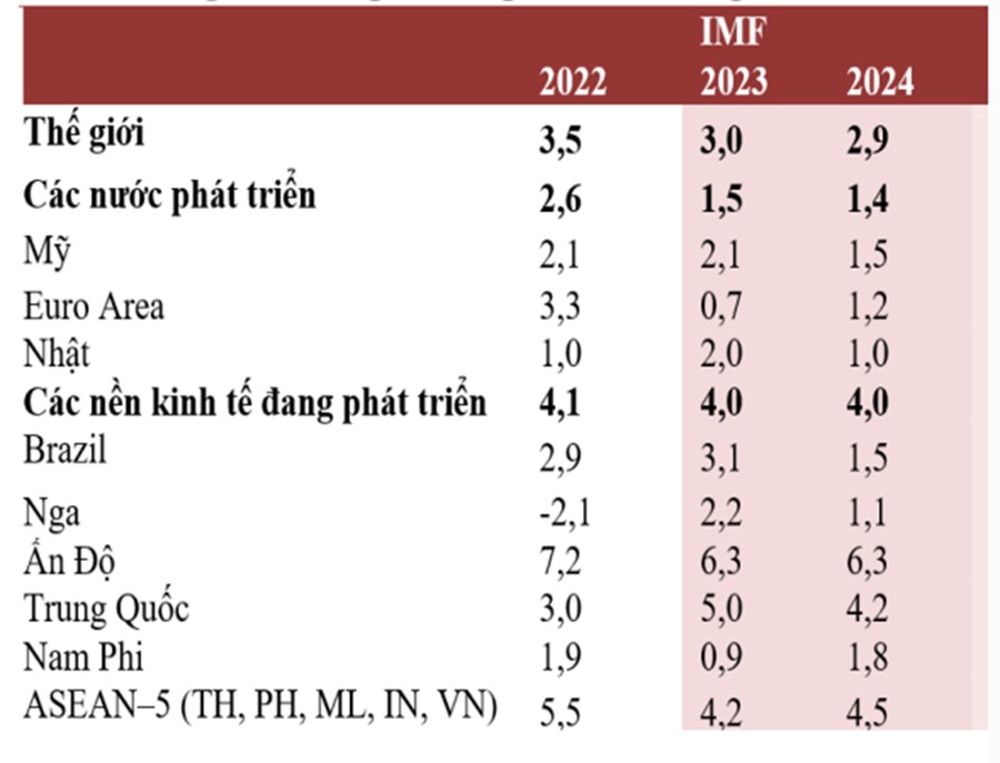 Việt Nam và các nước trong nhóm các nền kinh tế đang phát triển được dự báo có mức tăng trưởng GDP cao nhất trong năm 2024. Nguồn: IMF