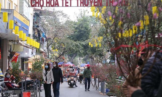 Chợ hoa Xuân trên phố Hàng Lược, Hà Nội. Ảnh: Phạm Đông