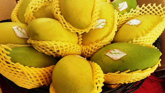 Trong số trên 53 tỉ USD kim ngạch xuất khẩu, sản phẩm từ cây trồng chiếm trên 45%. Ảnh: Vũ Long