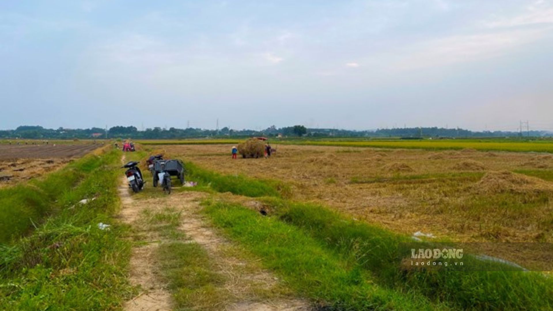 Ảnh minh họa: Tuyết Lan 