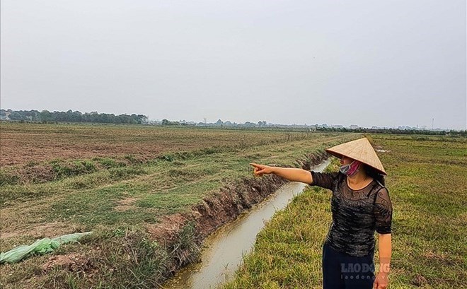 Ảnh minh hoạ: Phan Anh