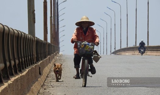 Cầu Trung Hà nối huyện Tam Nông, tỉnh Phú Thọ và huyện Ba Vì, TP Hà Nội. Ảnh: Tô Công