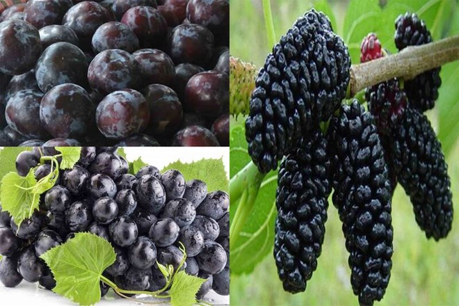 3 loại trái cây màu đen chứa kali phù hợp với người cao huyết áp