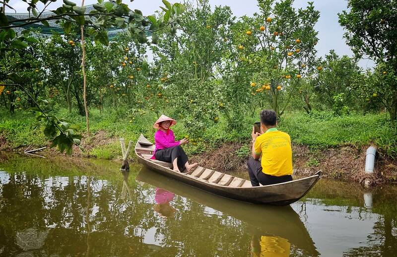 Khách hàng thích thú với những trải nghiệm khi đến các điểm tham quan quýt hồng tại huyện Lai Vung. Ảnh: Hoàng Lộc