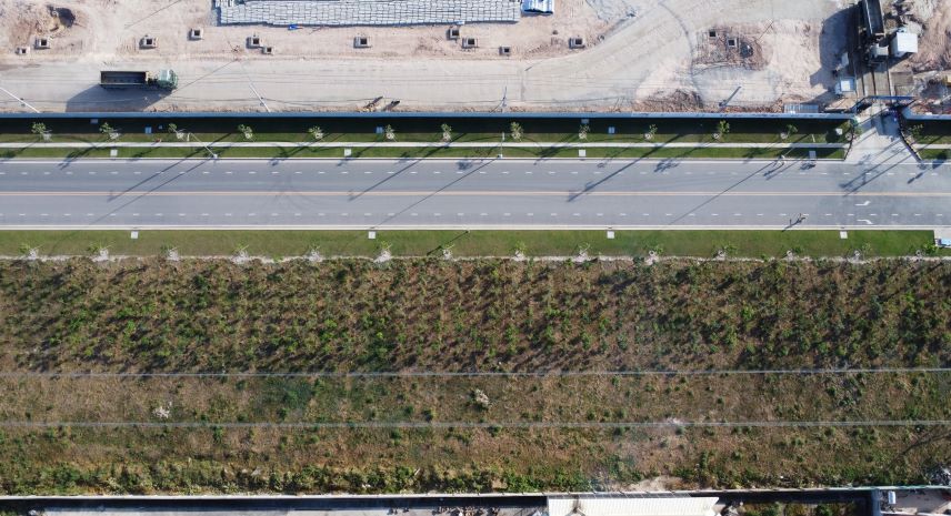 Phía ngoài đường ranh khu công nghiệp các cây xanh cũng đang được trồng và chăm sóc. Doanh nghiệp đang trồng 50.000 cây xanh để bù đắp cho những thảm thực vật bị chặt bỏ trong quá trình xây dựng nhà máy.  