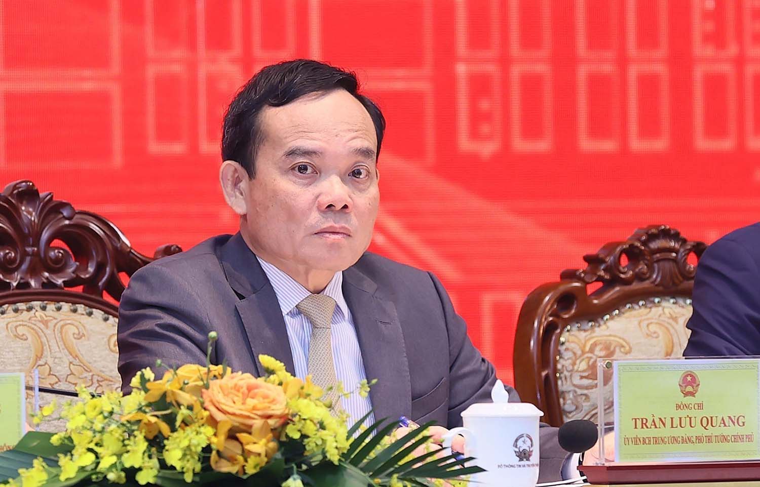 Phó Thủ tướng Chính phủ Trần Lưu Quang. Ảnh: Dương Giang