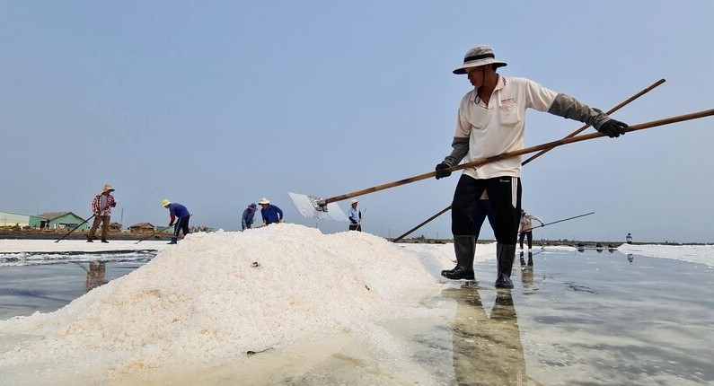 Muối Bạc Liêu là một trong số ít sản phẩm được công nhận chỉ dẫn địa lý. Ảnh: Nhật Hồ